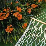 Apartmán Il Giardino Dei Gigli *