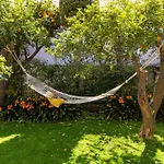 Il Giardino Dei Gigli Apartmán Meta