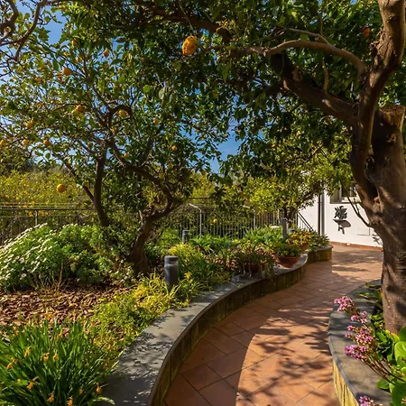 Il Giardino Dei Gigli Apartamento Meta