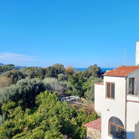 Il Giardino Dei Gigli