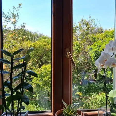 Apartment Il Giardino Dei Gigli
