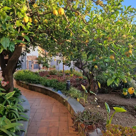 Il Giardino Dei Gigli *