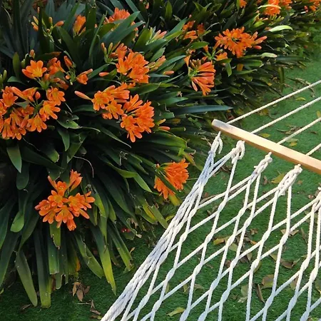 Appartement Il Giardino Dei Gigli *
