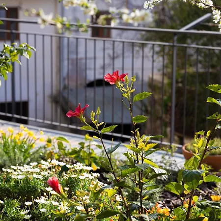 Il Giardino Dei Gigli Appartement *
